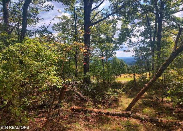 Property at 5 acres Briley Rd, Spring City, TN 37381