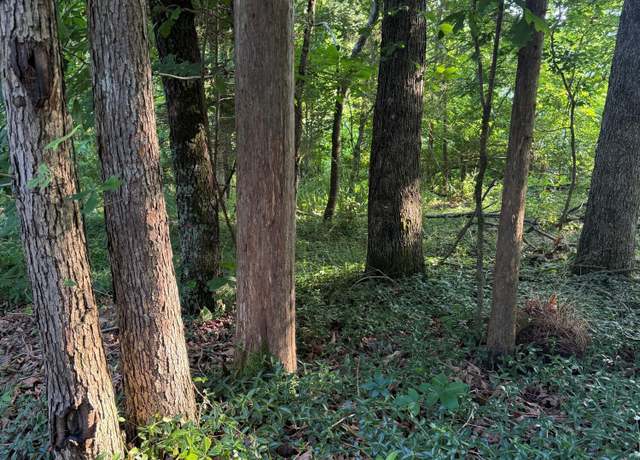 Property at Lot 8 Catoosa Woods Dr, Lancing, TN 37770