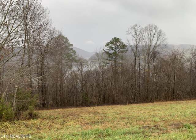 Property at Lot 321 Sapphire Ct, New Tazewell, TN 37825