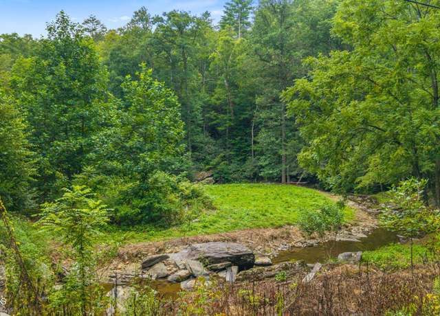 Property at 00 Cane Creek Mtn Rd, Tellico Plains, TN 37385