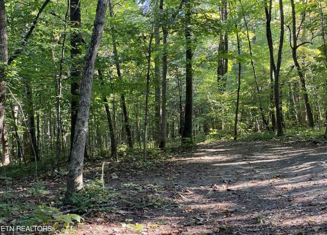 Property at 0 Conner Rd, Powell, TN 37849