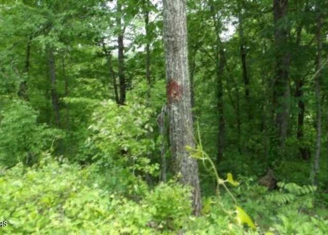 Property at Lot 176 Rock Springs Rd, Celina, TN 38551