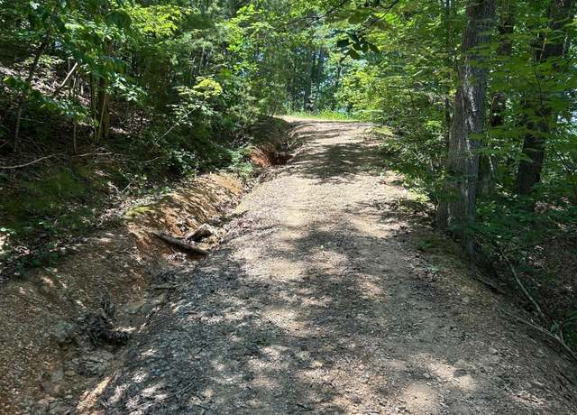 Property at Henderson Springs Rd, Pigeon Forge, TN 37863