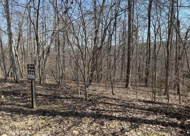 Property at Lot 529 Garnet Trail Trl, New Tazewell, TN 37825