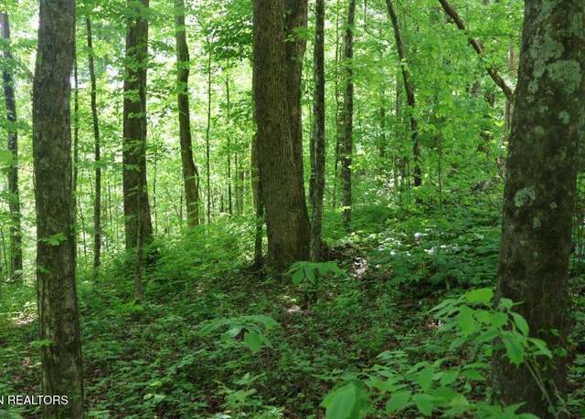 Property at Crab Mountain Rd, Jamestown, TN 38556