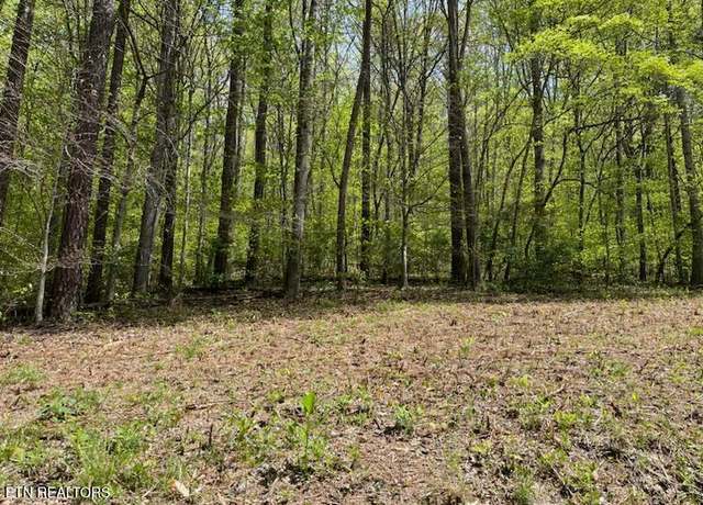 Property at Lot 1 Cabin Rd, Speedwell, TN 37870