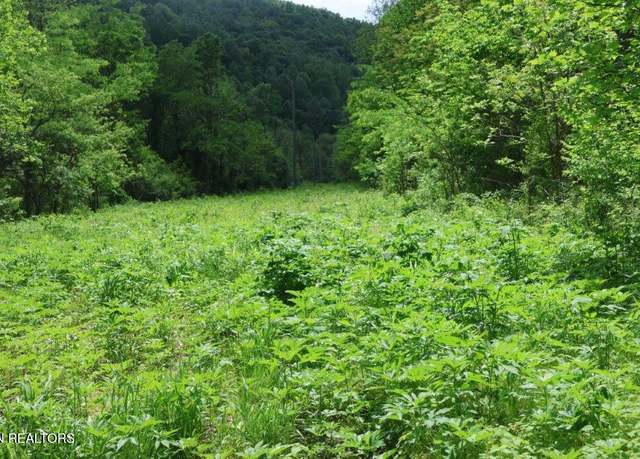 Property at Little Crab Cr/buzzard Roost, Jamestown, TN 38556