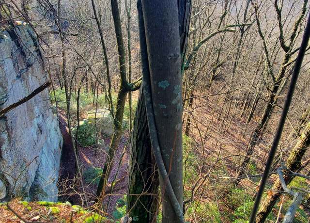 Property at Tanner Dr, Monterey, TN 38574