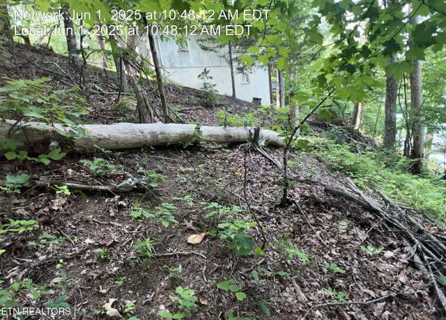 Property at lot 29 Driftwood Cir, Sevierville, TN 37876