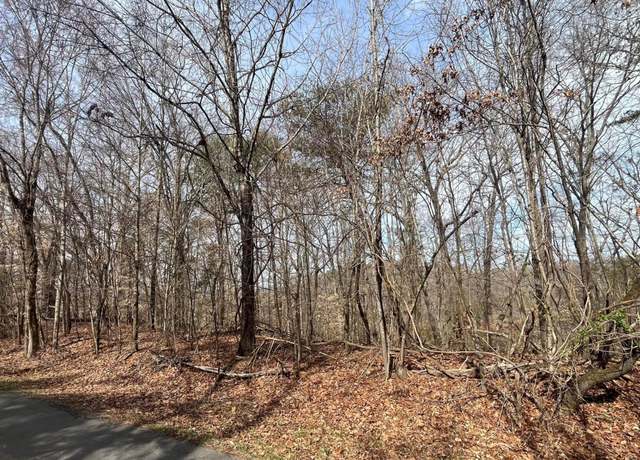 Property at Mountain View Lane, Lot #1101, Baneberry, TN 37890