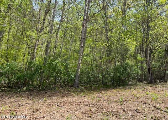 Property at Lot 2 Cabin Rd, Speedwell, TN 37870