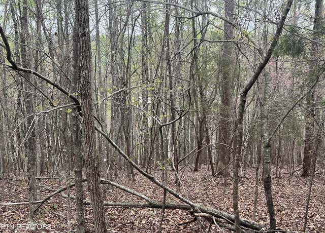 Property at Norris View Ln, Lafollette, TN 37766