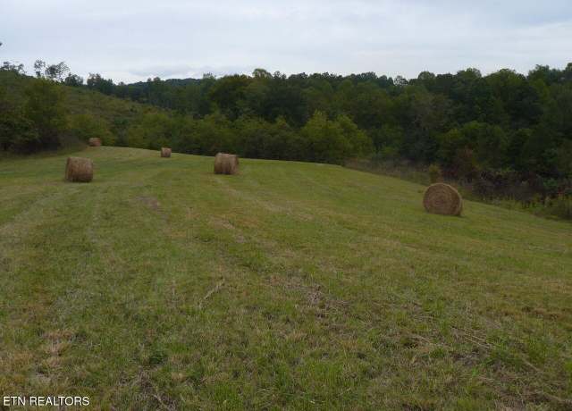 Property at 132 Acres Leabow Hollow Rd, Tazewell, TN 37879