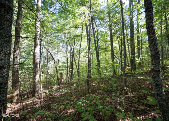 Property at 864 Stonegate Way, Townsend, TN 37882