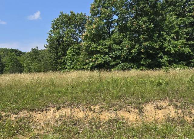 Property at Lot 61 Stone Cliff Ln, Jamestown, TN 38556