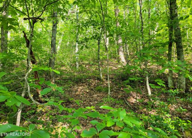 Property at Lot 27 Black Oak Dr, Sevierville, TN 37876