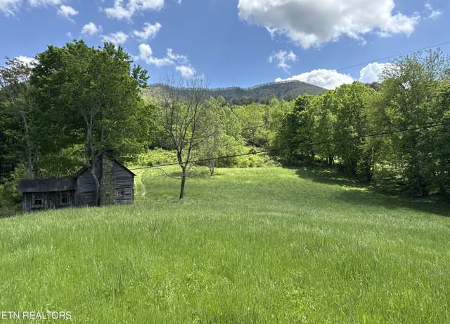 Property at 3310 Wild Turkey Way, Parrottsville, TN 37843