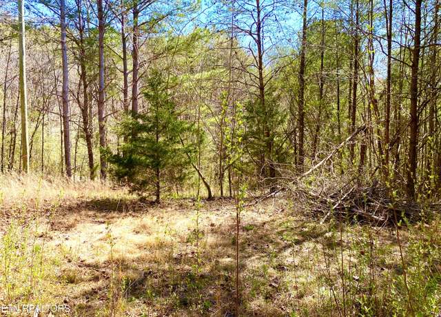 Property at 396 Beulah Rd, Tellico Plains, TN 37385