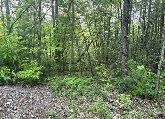 Property at 1286 Youngblood Way, Cosby, TN 37722