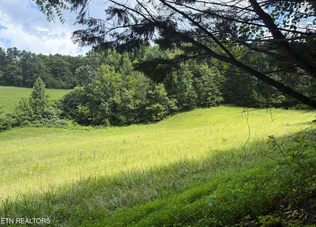 Property at 1461 Ponderosa Rd, Parrottsville, TN 37843
