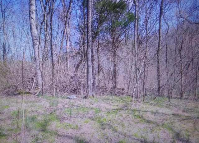 Property at 287 Edith Ln, Washburn, TN 37888, 3 beds, 1 bath