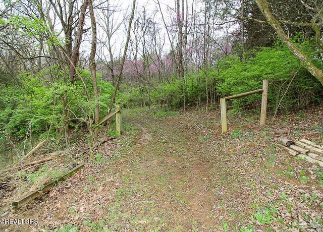 Property at 5 Acre Tr. Cedar School Rd, Dandridge, TN 37725