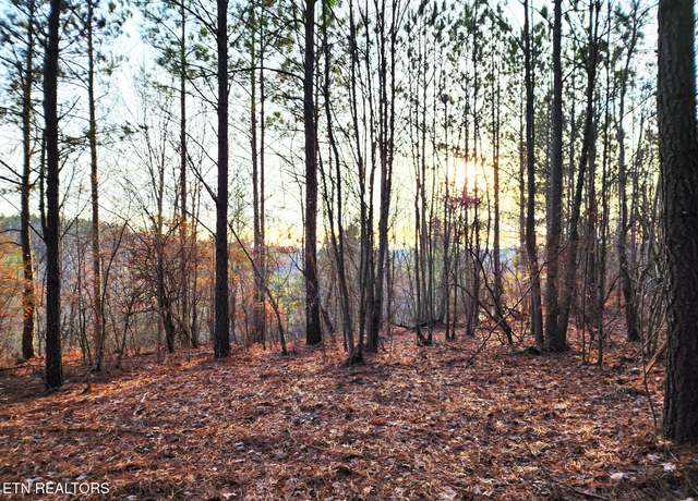 Property at T27 West Robbins Rd, Robbins, TN 37852