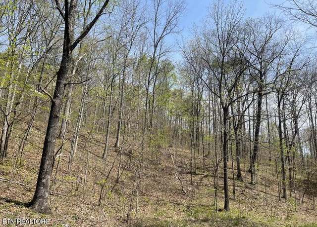 Property at 01 Brock Hollow Rd, Pikeville, TN 37367