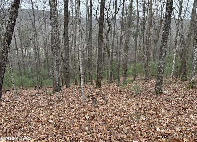Property at 179 Pineridge Loop, Fairfield Glade, TN 38558