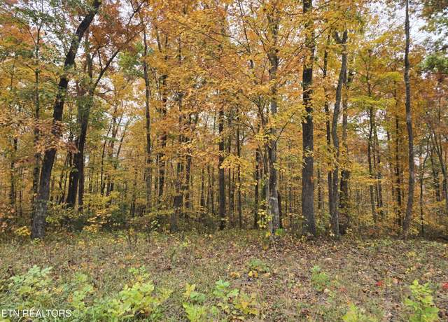 Property at 10 AC West Robbins Rd, Robbins, TN 37852
