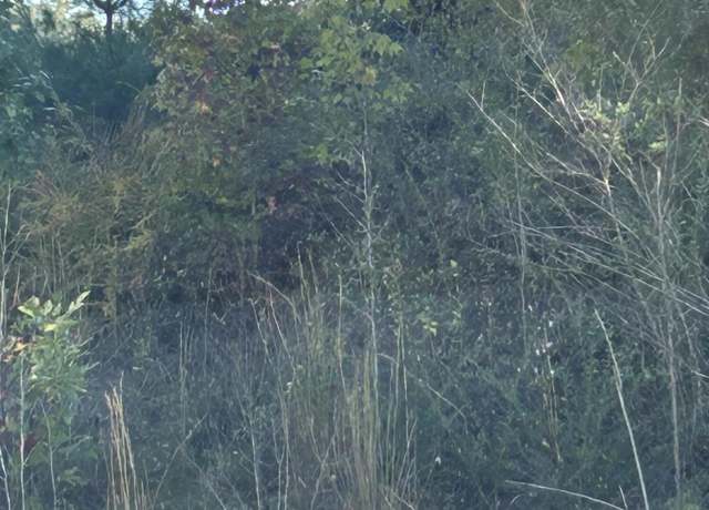 Property at Abby Ln, Jacksboro, TN 37757