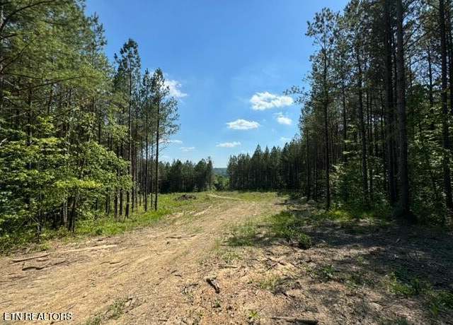 Property at 59 Union Hill Rd Rd, Sunbright, TN 37872