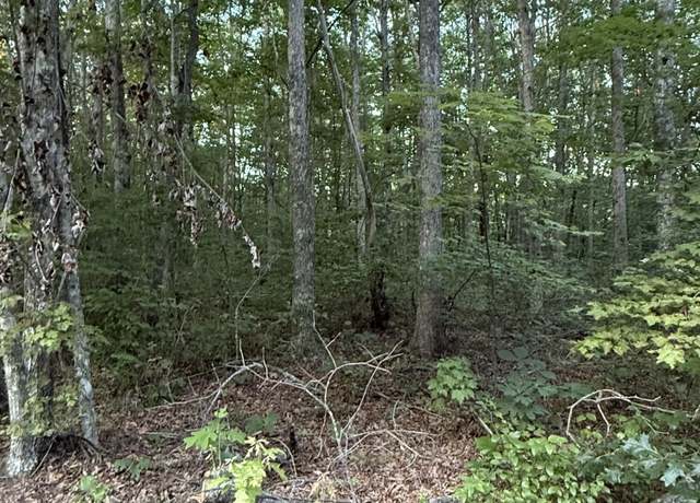 Property at Lot 5 Clyde Pl, Monterey, TN 38574