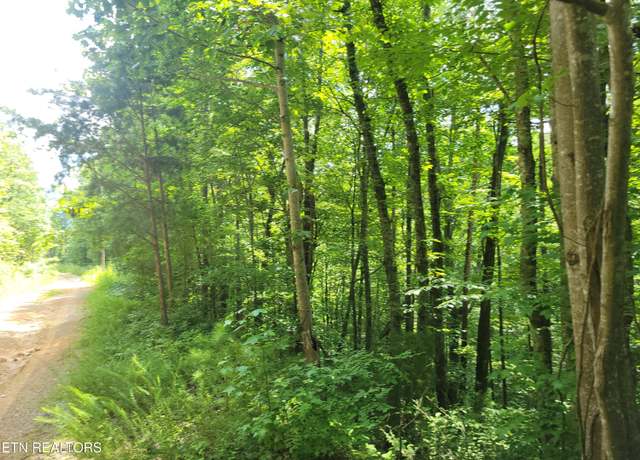 Property at Lot 79 Yellowwood Dr, Sevierville, TN 37876