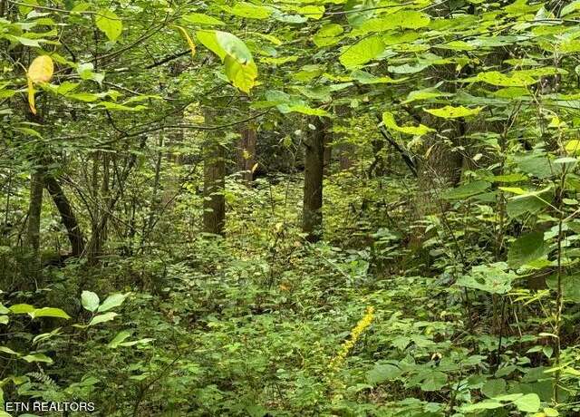 Property at Vixen Way, Cosby, TN 37722