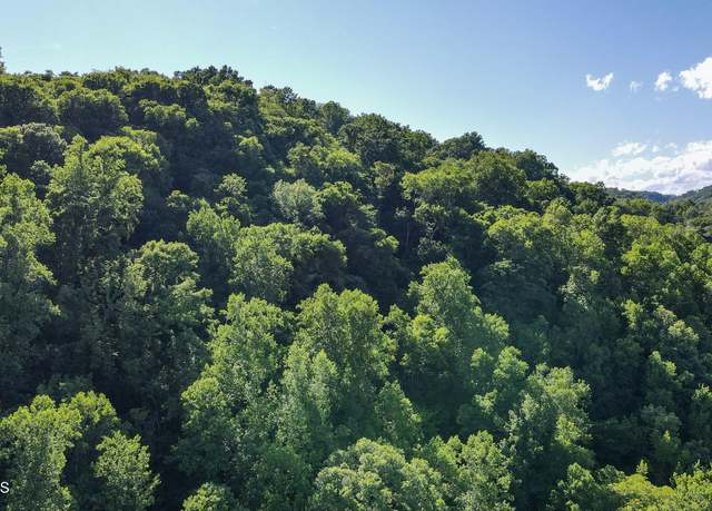 Property at 168 County Rd 484, Englewood, TN 37329