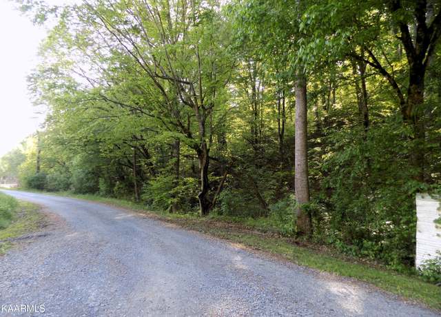 Property at Par 023.04 Driftwood Rd, Cosby, TN 37722