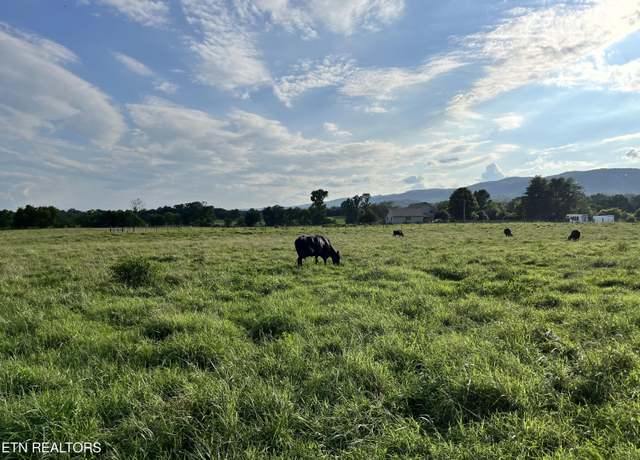 Property at Old State Hwy, Pikeville, TN 37367