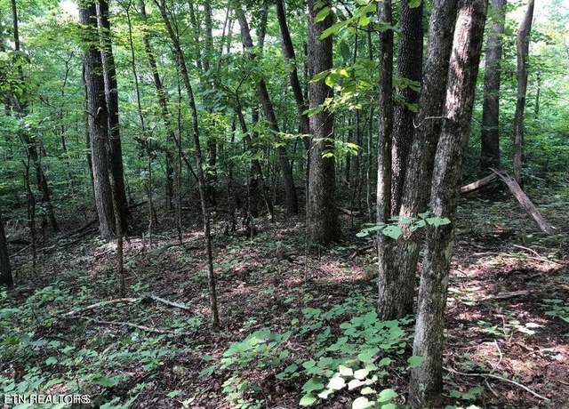 Property at Tbd Jackson Hollow Rd, Thorn Hill, TN 37881