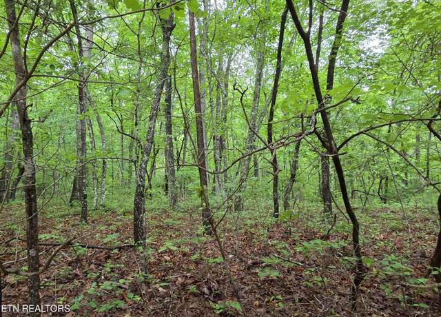 Property at 45 Brenningham Ln, Crossville, TN 38558