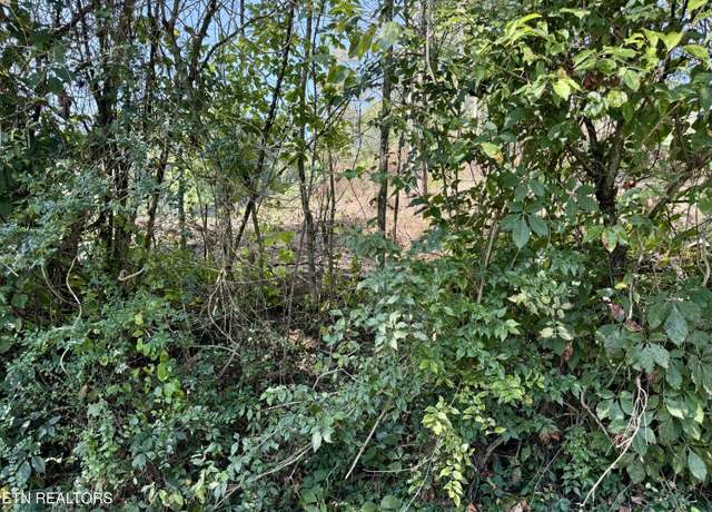 Property at Cherokee Cir, Tazewell, TN 37879