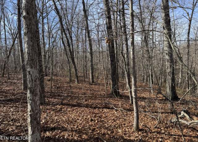 Property at Lot 38 Crystal Pt, Monterey, TN 38574
