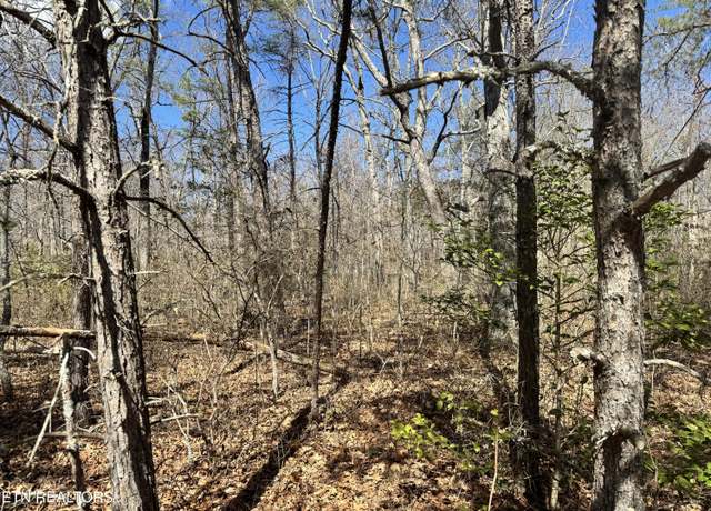 Property at Divide Trl, Monterey, TN 38574