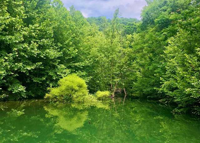 Property at River Ridge Road Tract 1, Maynardville, TN 37807