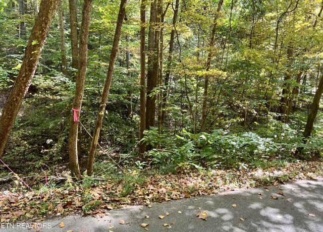 Property at 1875 Dyer Hollow Rd, Mohawk, TN 37810