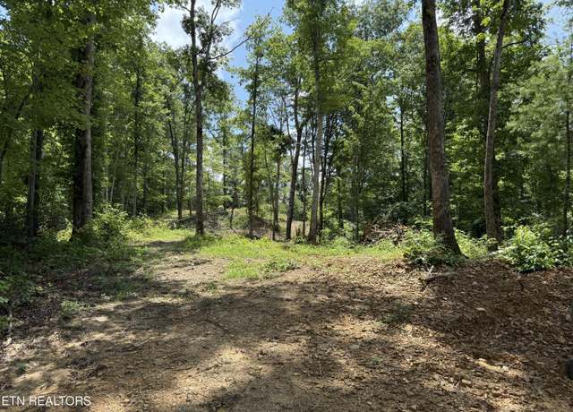 Property at 458 Nydeck Rd, Robbins, TN 37852