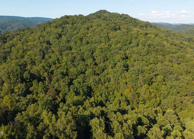 Property at 32.38  AC Off Panther Creek Rd, Sneedville, TN 37869