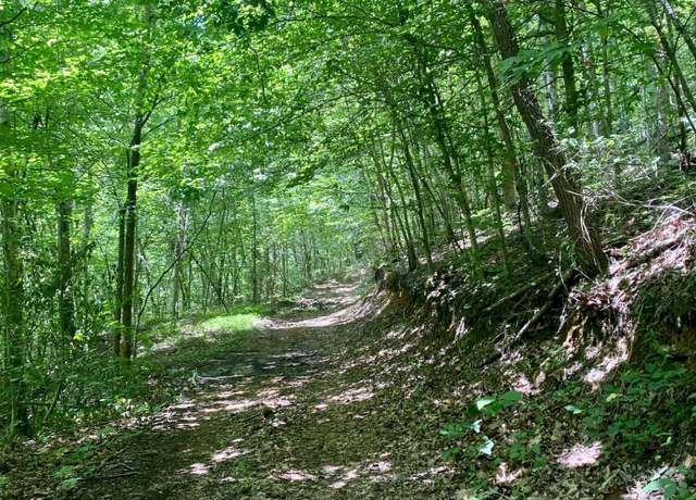 Property at River Ridge Road Tract 4, Maynardville, TN 37807
