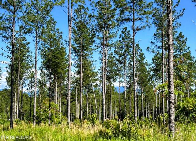 Property at Tract 20 SE Hughes Lake Rd, Cleveland, TN 37323