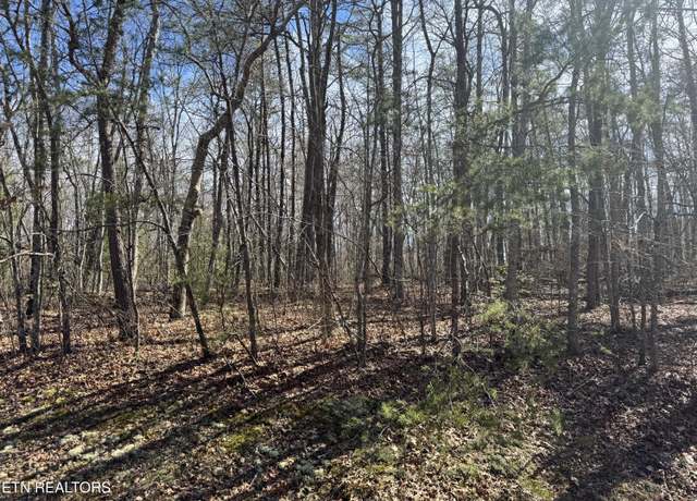 Property at N Laurel Loop, Monterey, TN 38574